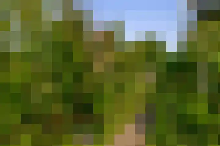 Capellelaan 34 Ammerstol thumbnail 35