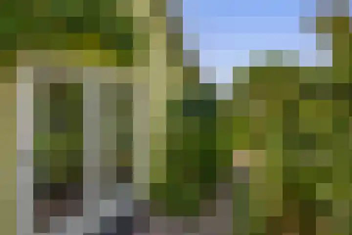 Capellelaan 34 Ammerstol thumbnail 36