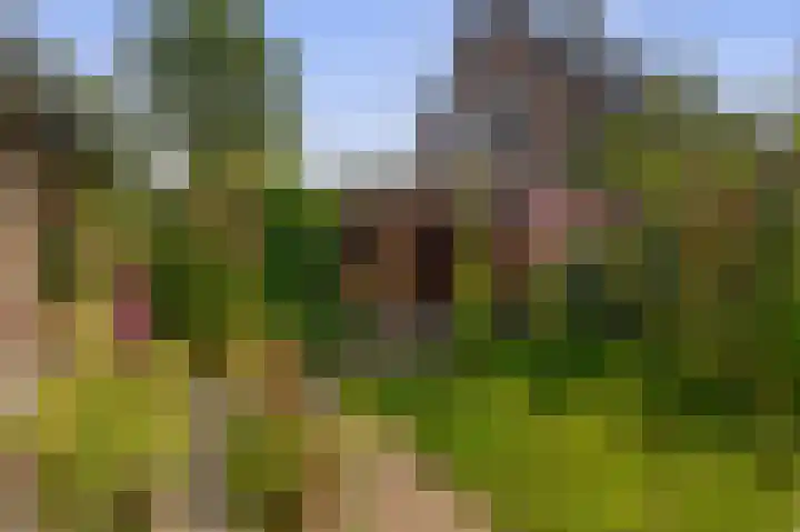 Capellelaan 34 Ammerstol thumbnail 4