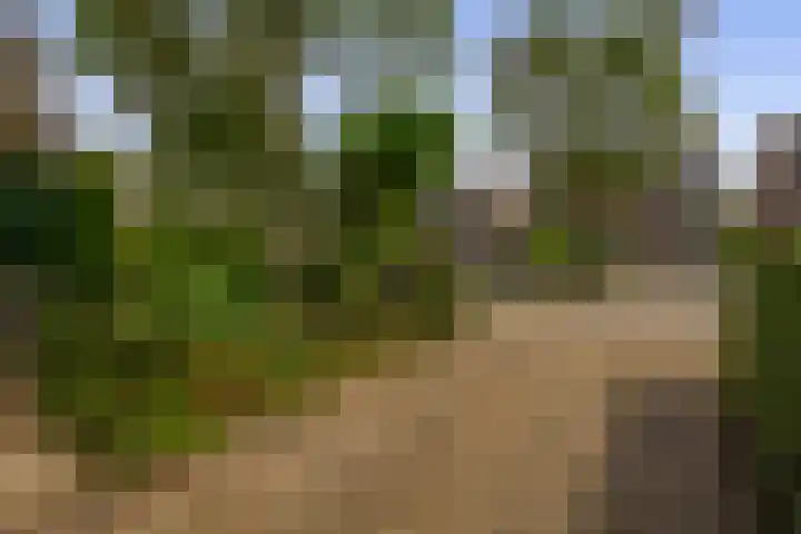 Capellelaan 34 Ammerstol thumbnail 40