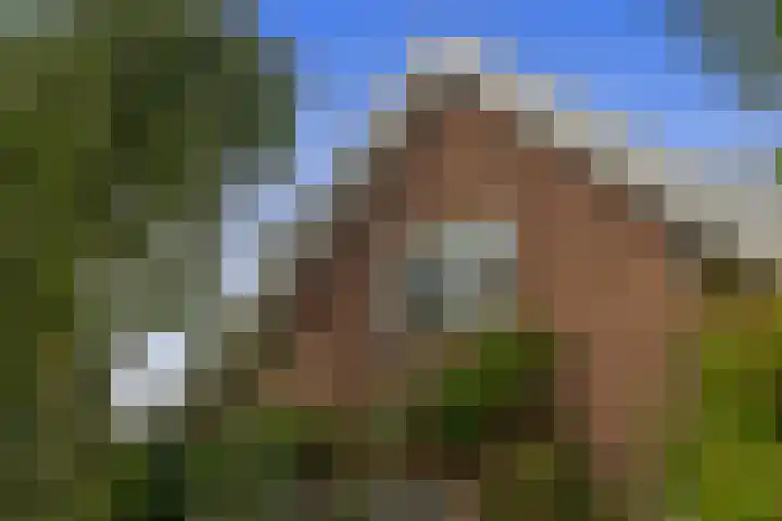 Capellelaan 34 Ammerstol thumbnail 41
