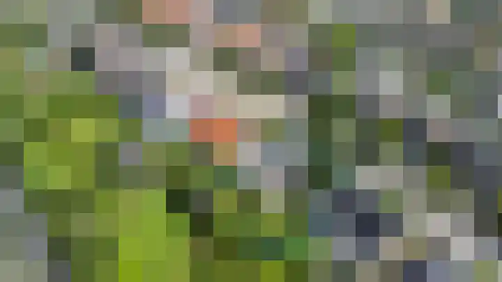 Capellelaan 34 Ammerstol thumbnail 5