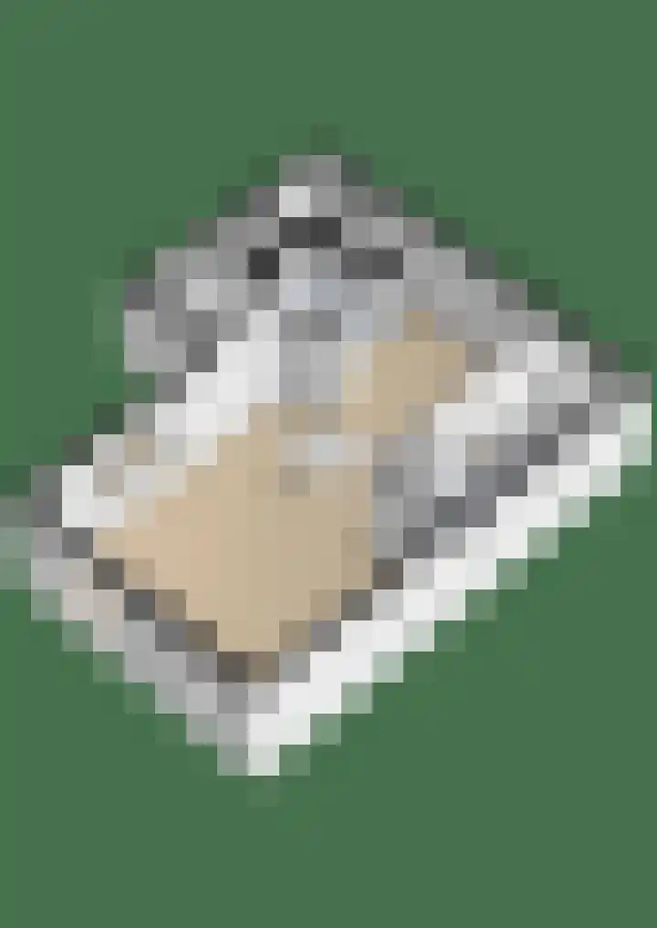Capellelaan 34 Ammerstol thumbnail 58