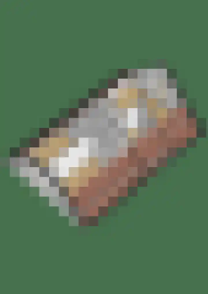 Capellelaan 34 Ammerstol thumbnail 59
