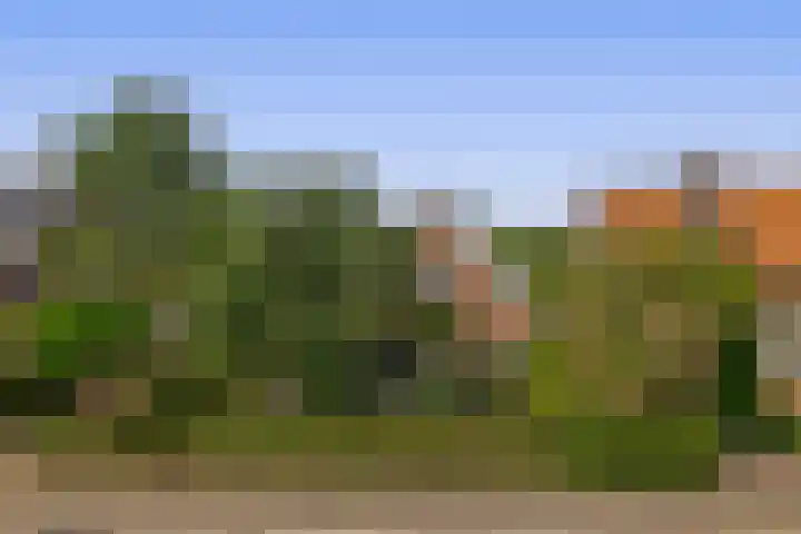 Capellelaan 34 Ammerstol thumbnail 6