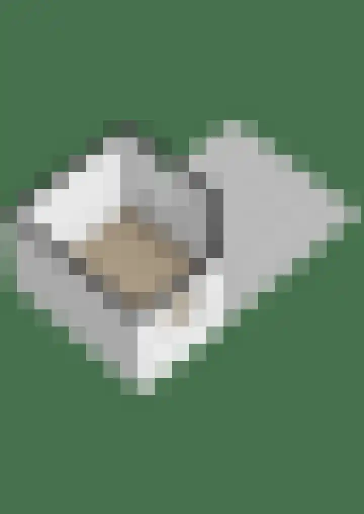Capellelaan 34 Ammerstol thumbnail 61