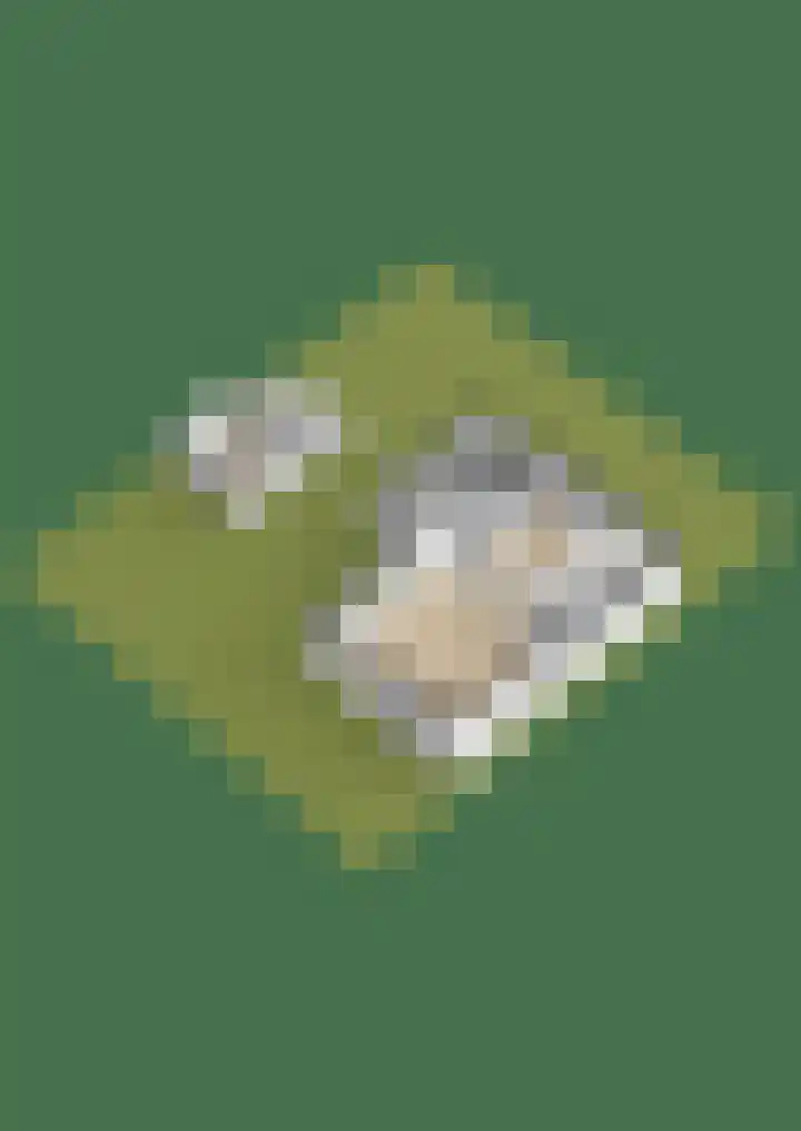 Capellelaan 34 Ammerstol thumbnail 62