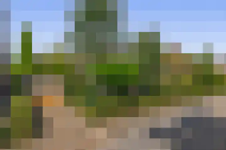 Capellelaan 34 Ammerstol thumbnail 7