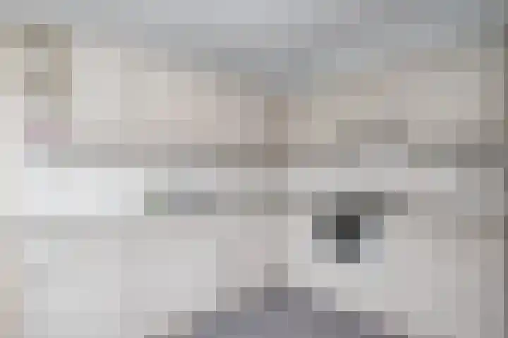 Capellelaan 39 Ammerstol thumbnail 14