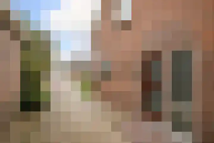 Capellelaan 39 Ammerstol thumbnail 6
