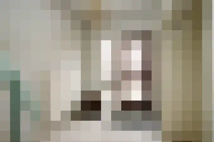 Capellelaan 39 Ammerstol thumbnail 7