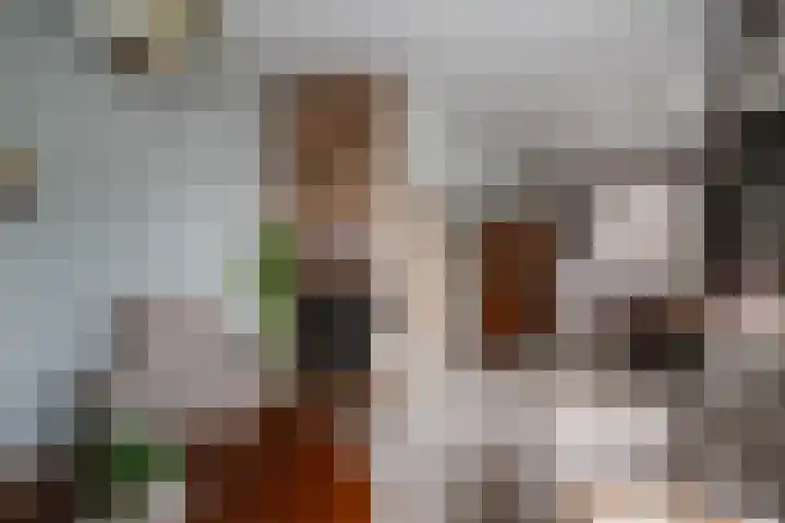 Capellelaan 39 Ammerstol thumbnail 9