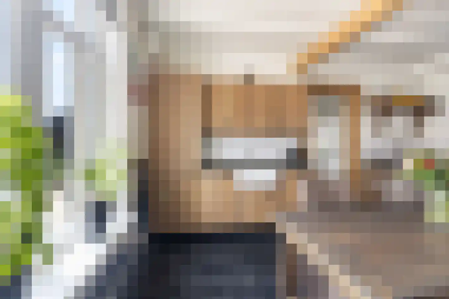 Capellelaan 70 Ammerstol thumbnail 12