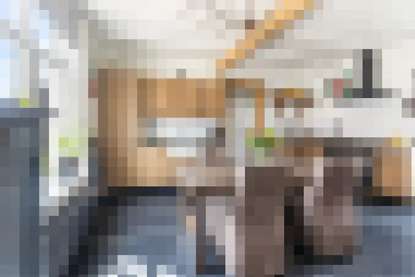 Capellelaan 70 Ammerstol thumbnail 13