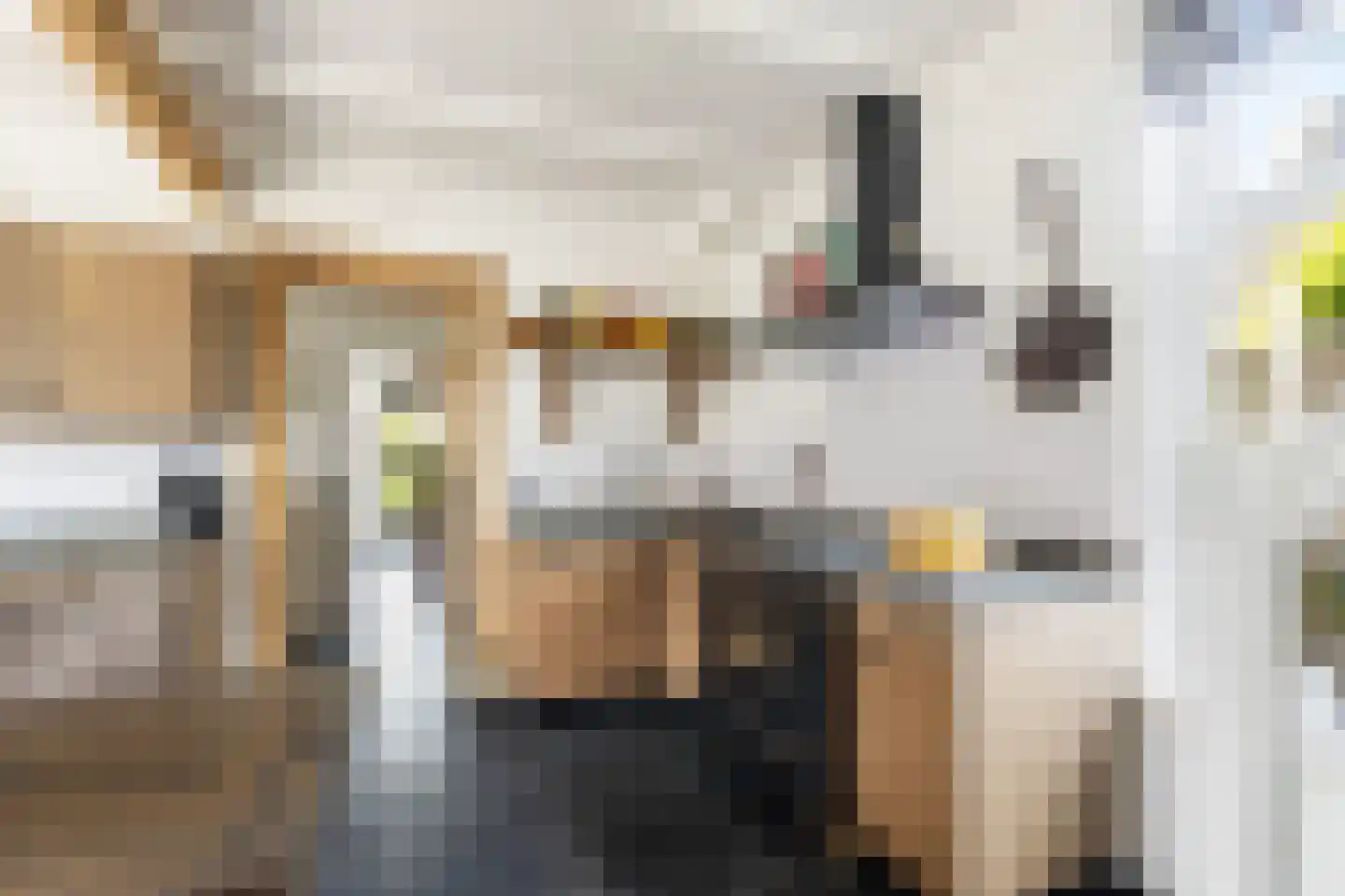 Capellelaan 70 Ammerstol thumbnail 15