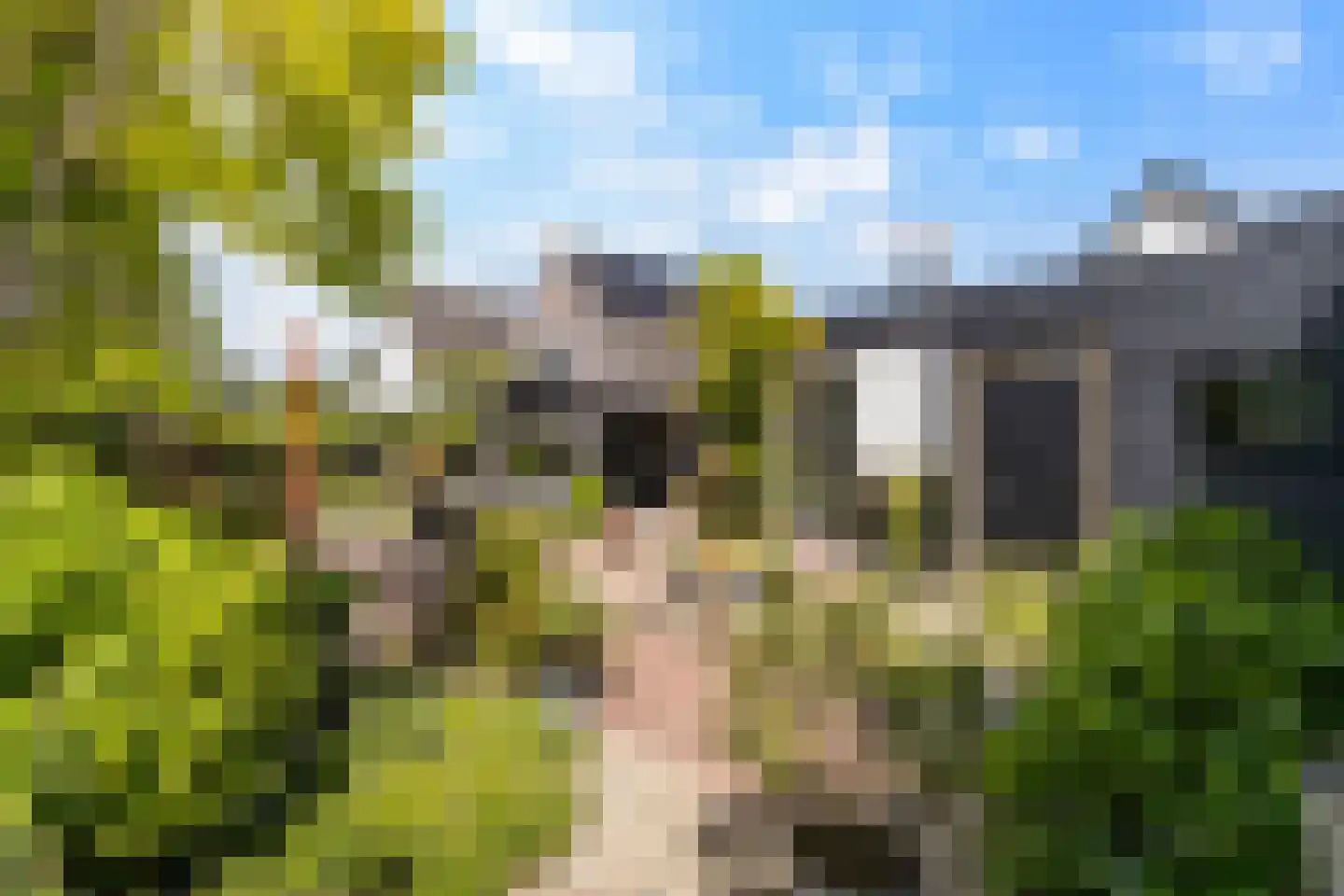 Capellelaan 70 Ammerstol thumbnail 16