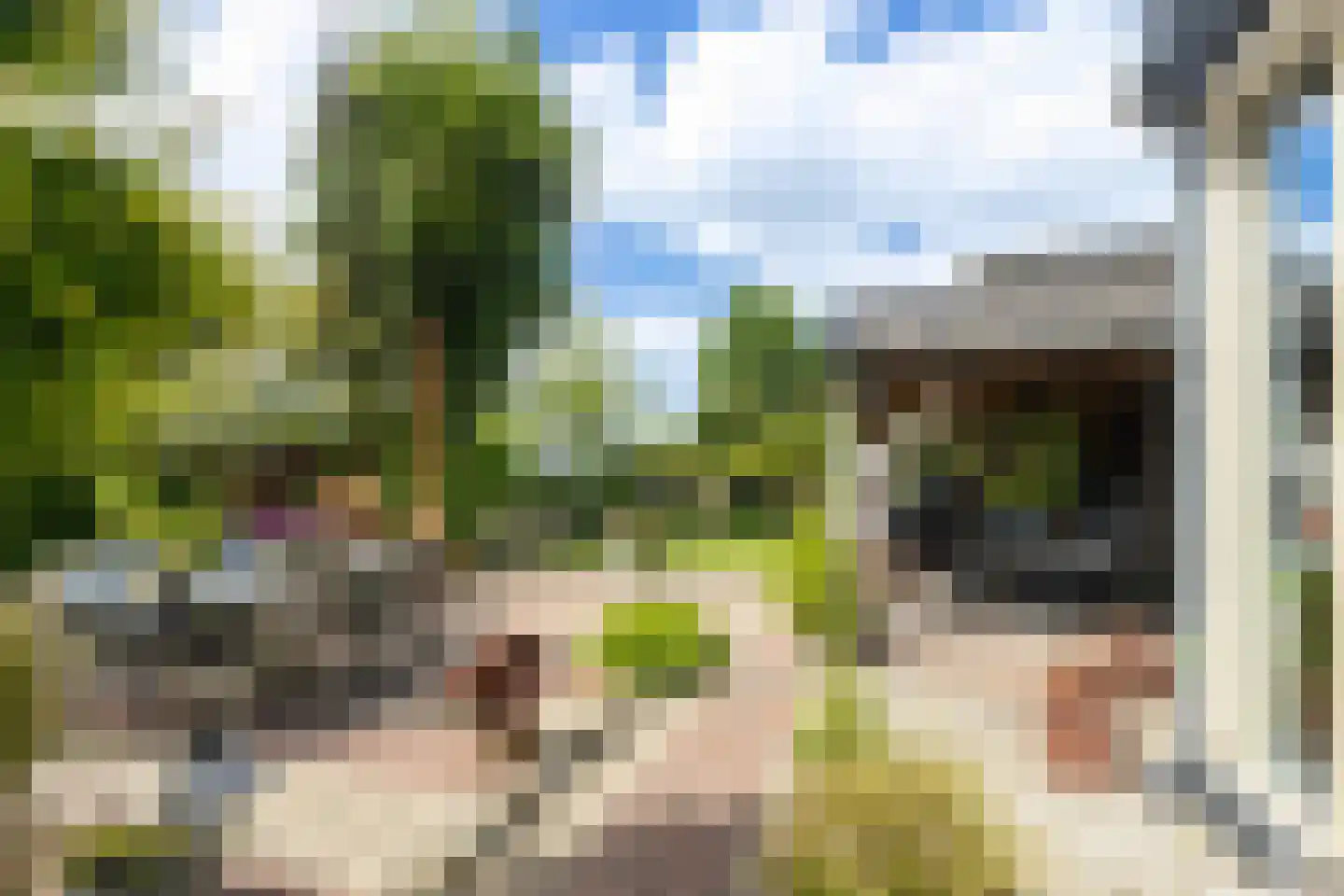 Capellelaan 70 Ammerstol thumbnail 17