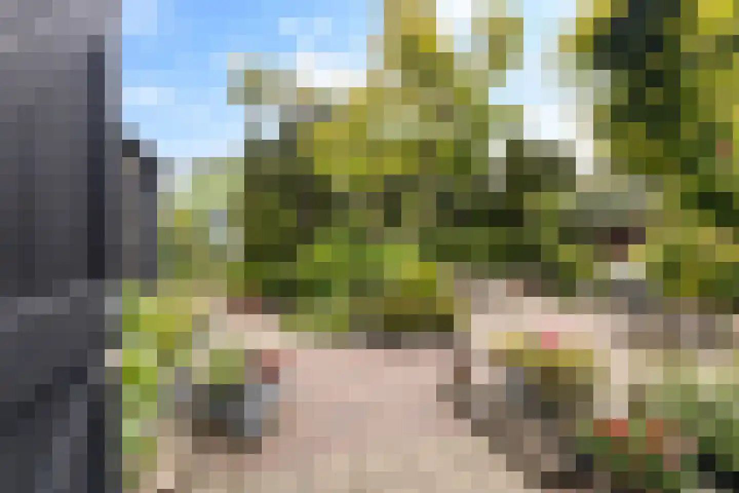 Capellelaan 70 Ammerstol thumbnail 21
