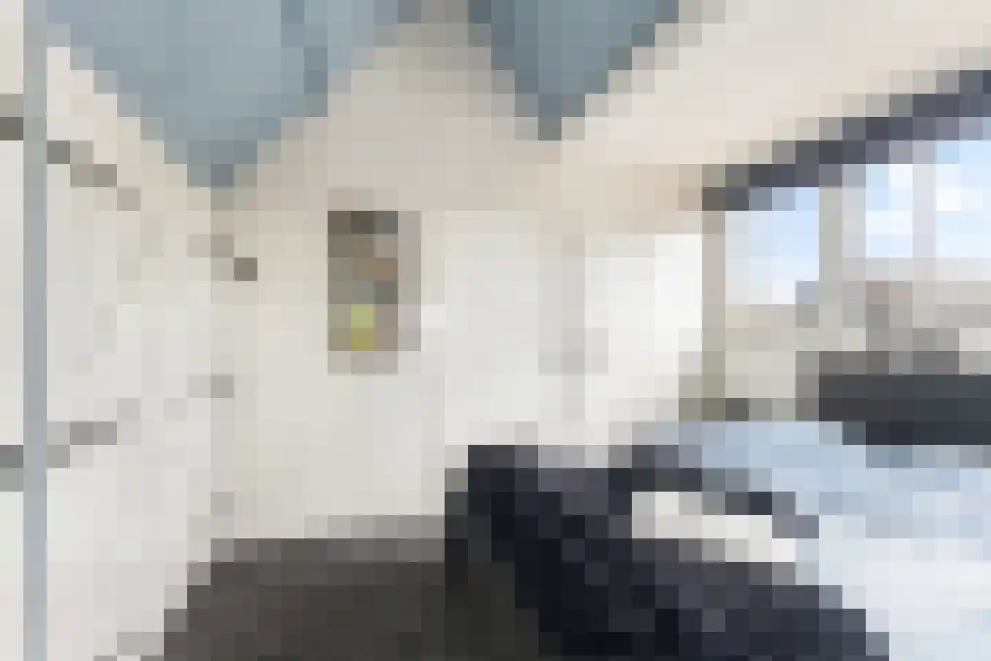 Capellelaan 70 Ammerstol thumbnail 25