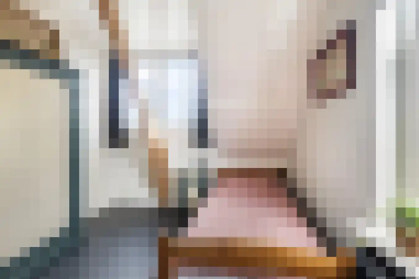 Capellelaan 70 Ammerstol thumbnail 26