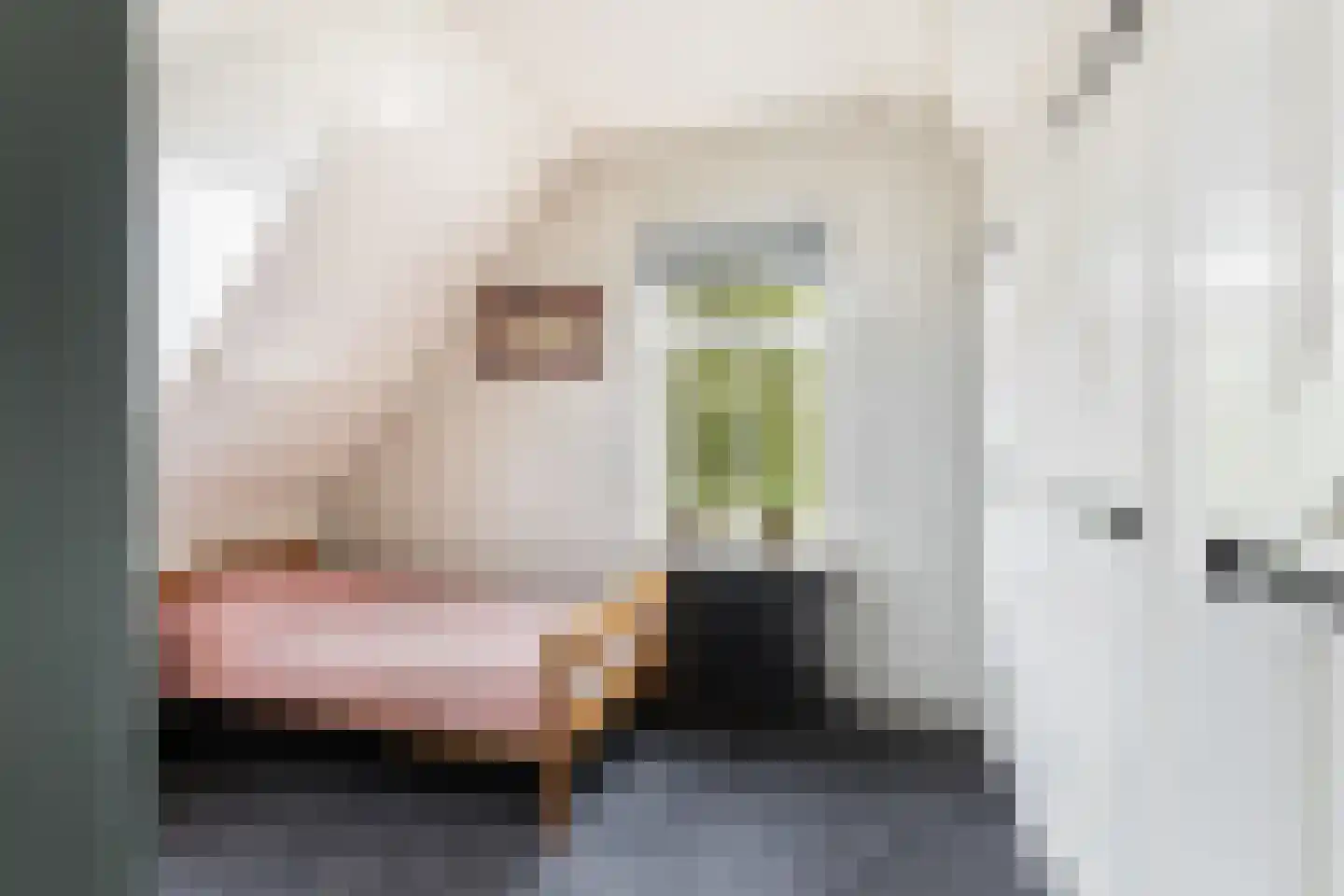 Capellelaan 70 Ammerstol thumbnail 27