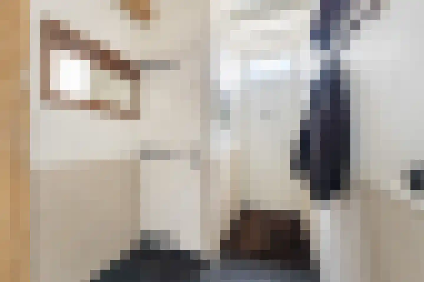 Capellelaan 70 Ammerstol thumbnail 32