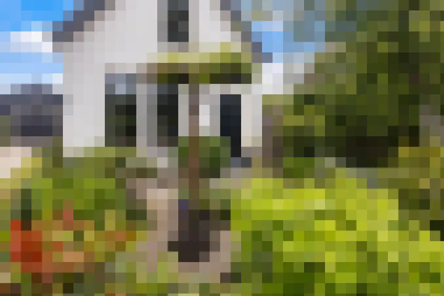 Capellelaan 70 Ammerstol thumbnail 36