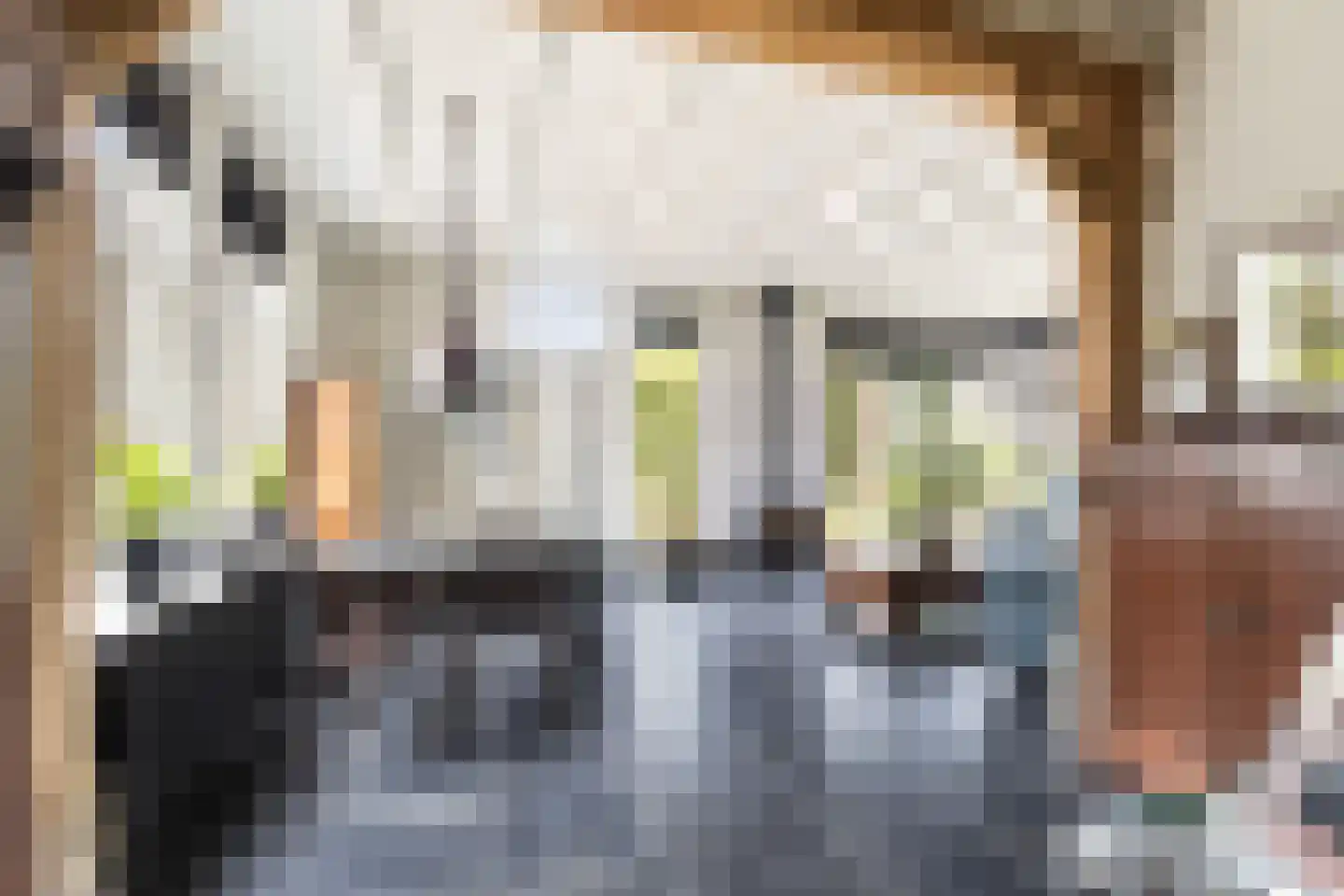 Capellelaan 70 Ammerstol thumbnail 4