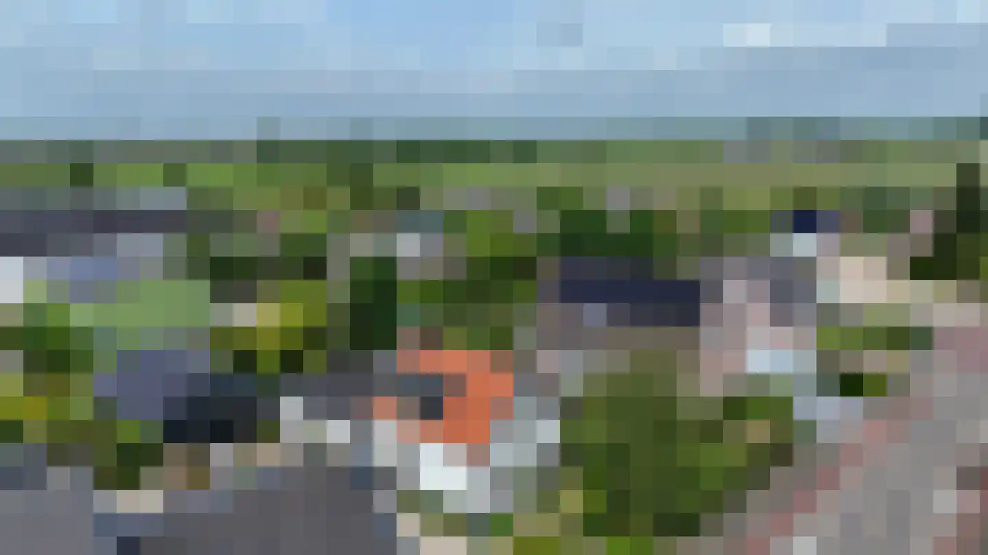 Capellelaan 70 Ammerstol thumbnail 41