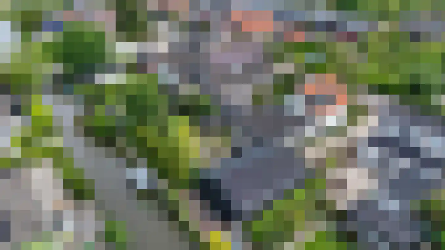 Capellelaan 70 Ammerstol thumbnail 42