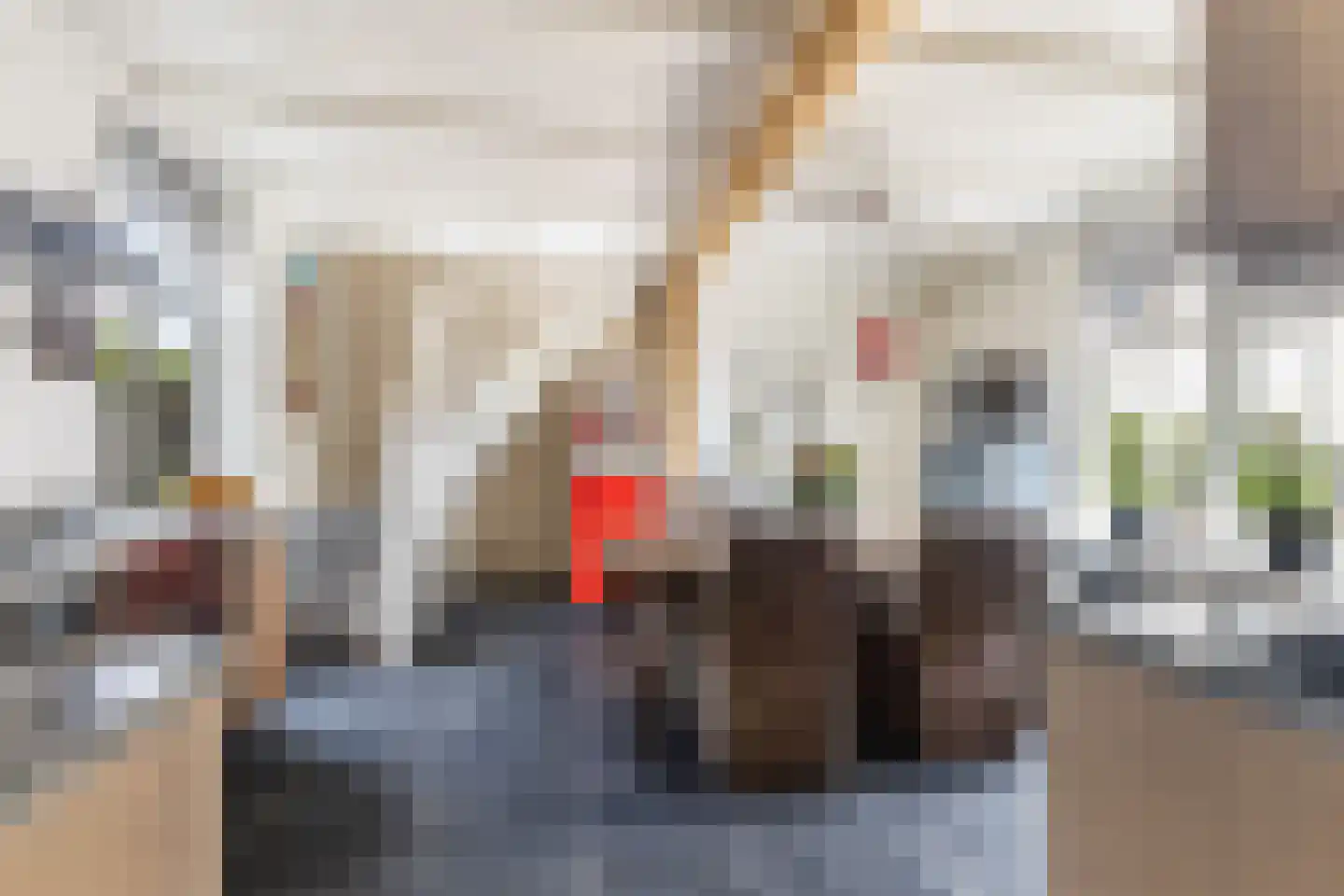 Capellelaan 70 Ammerstol thumbnail 8