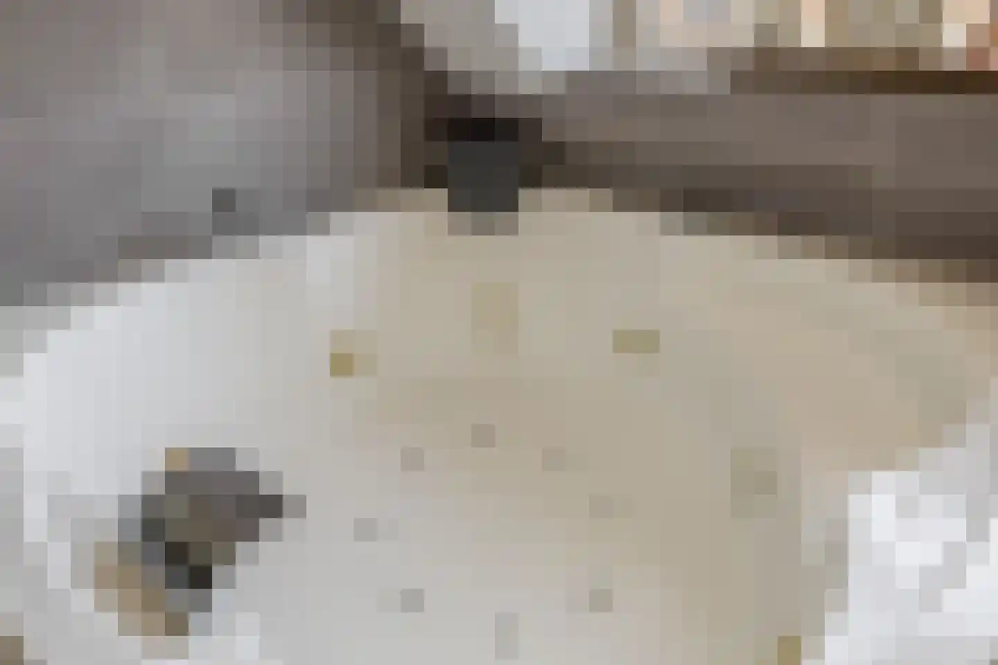 Capellerij 13 Goedereede thumbnail 27