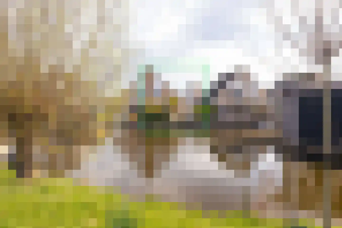 Capellesloot 37 Enkhuizen thumbnail 4