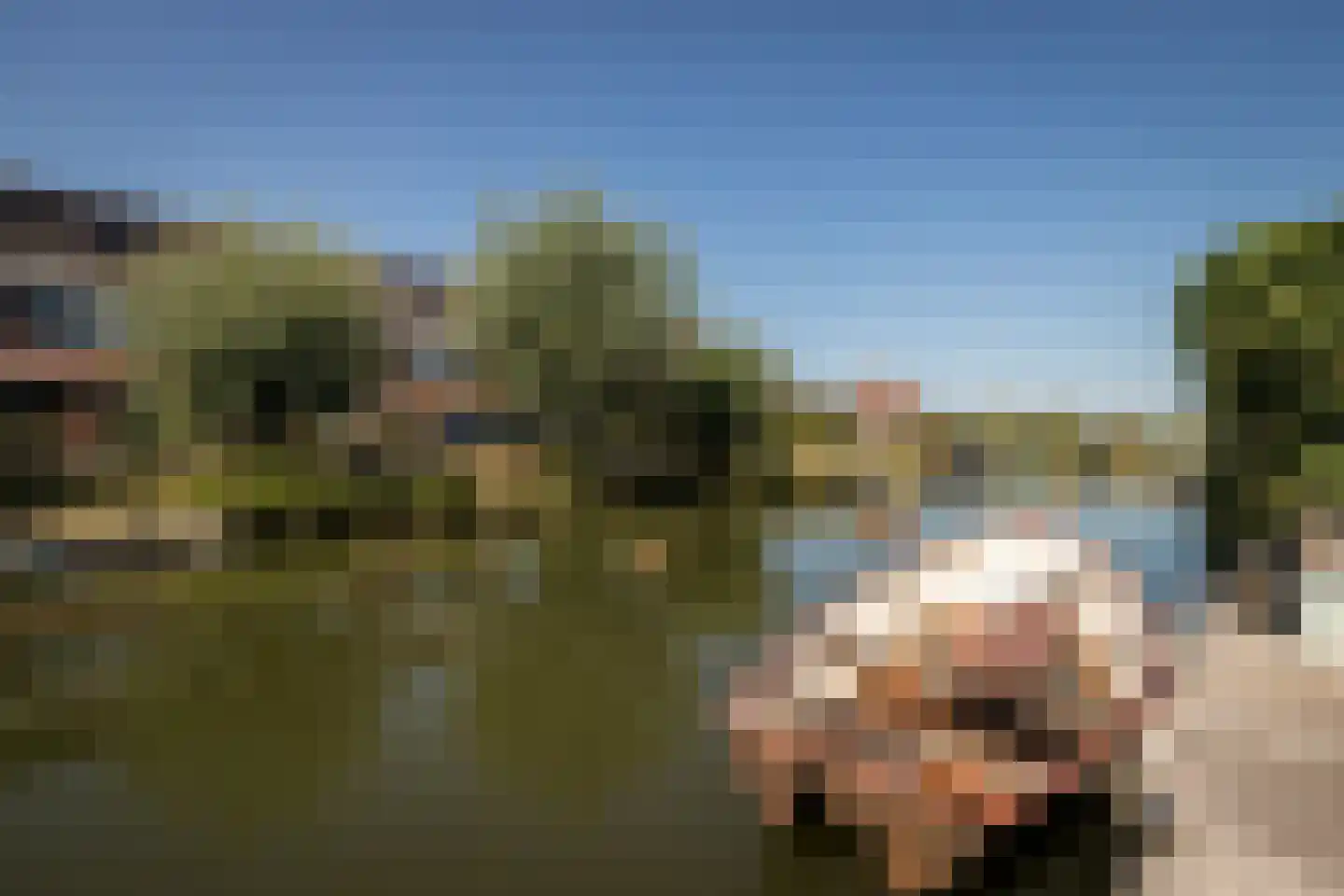 Capellesloot 53 Enkhuizen thumbnail 32