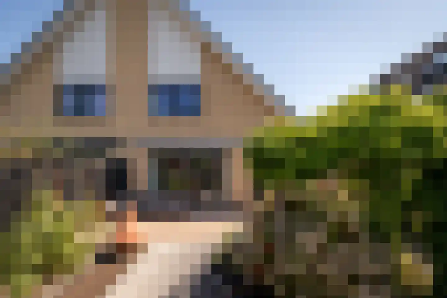 Capellesloot 53 Enkhuizen thumbnail 35