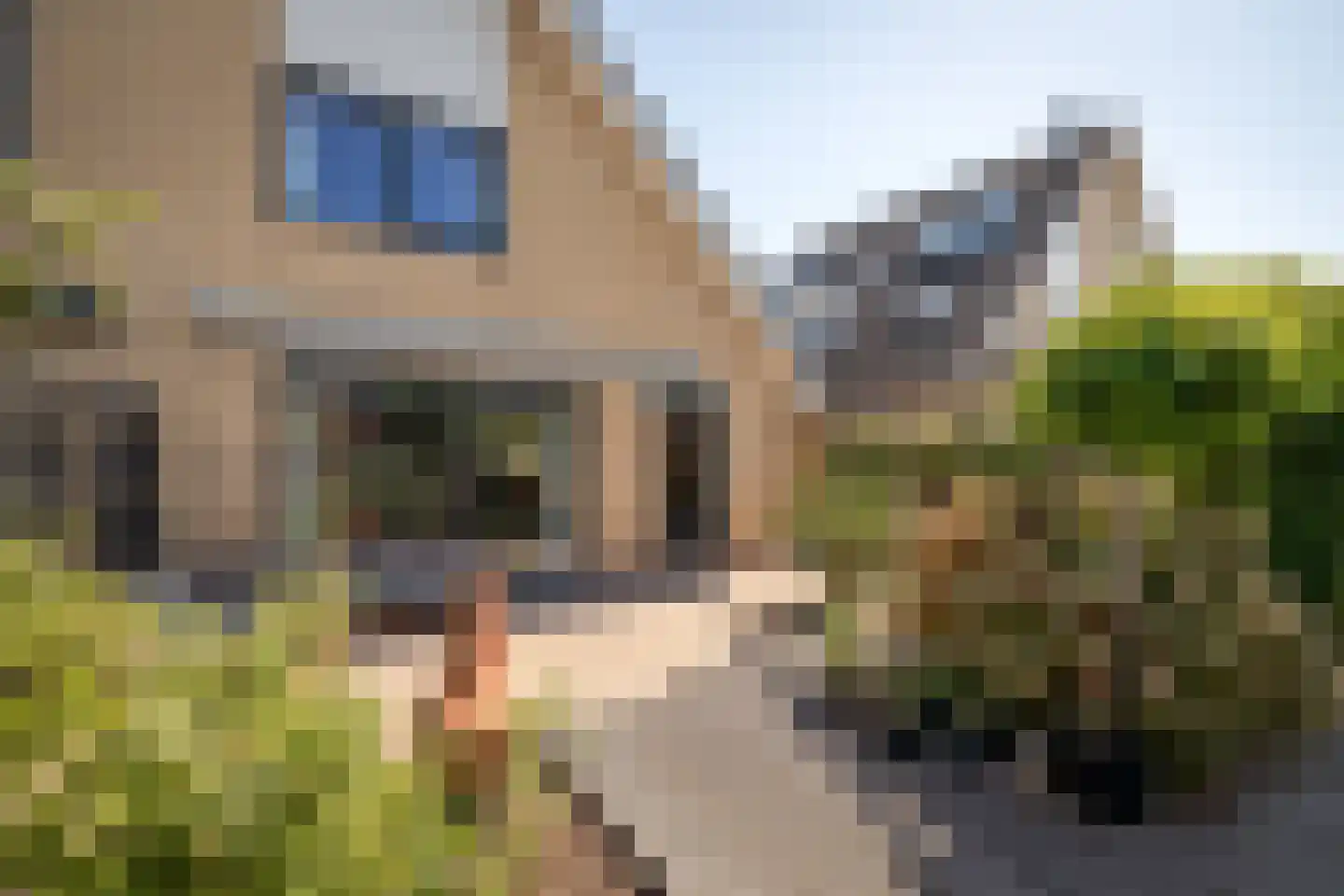 Capellesloot 53 Enkhuizen thumbnail 38