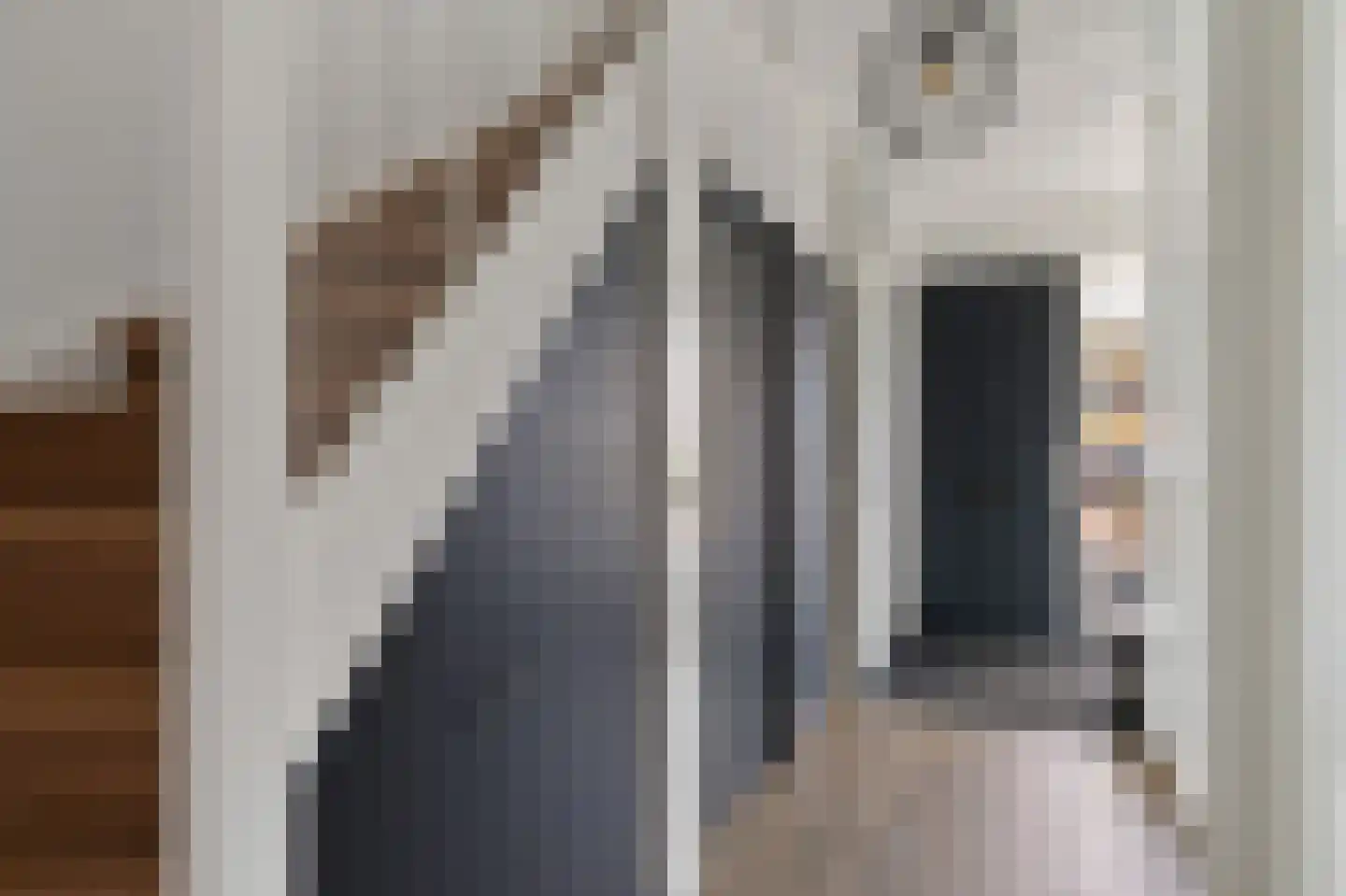 Capellestraat 138 Steenwijk thumbnail 14