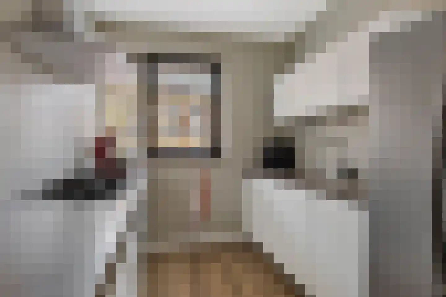 Capellestraat 138 Steenwijk thumbnail 18