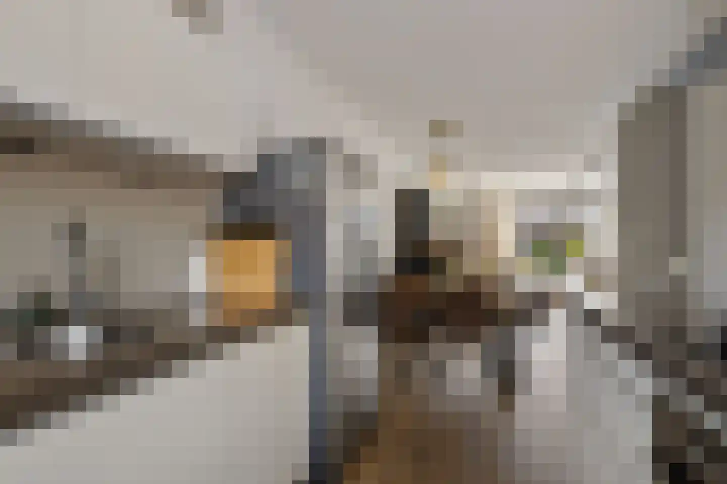Capellestraat 138 Steenwijk thumbnail 20