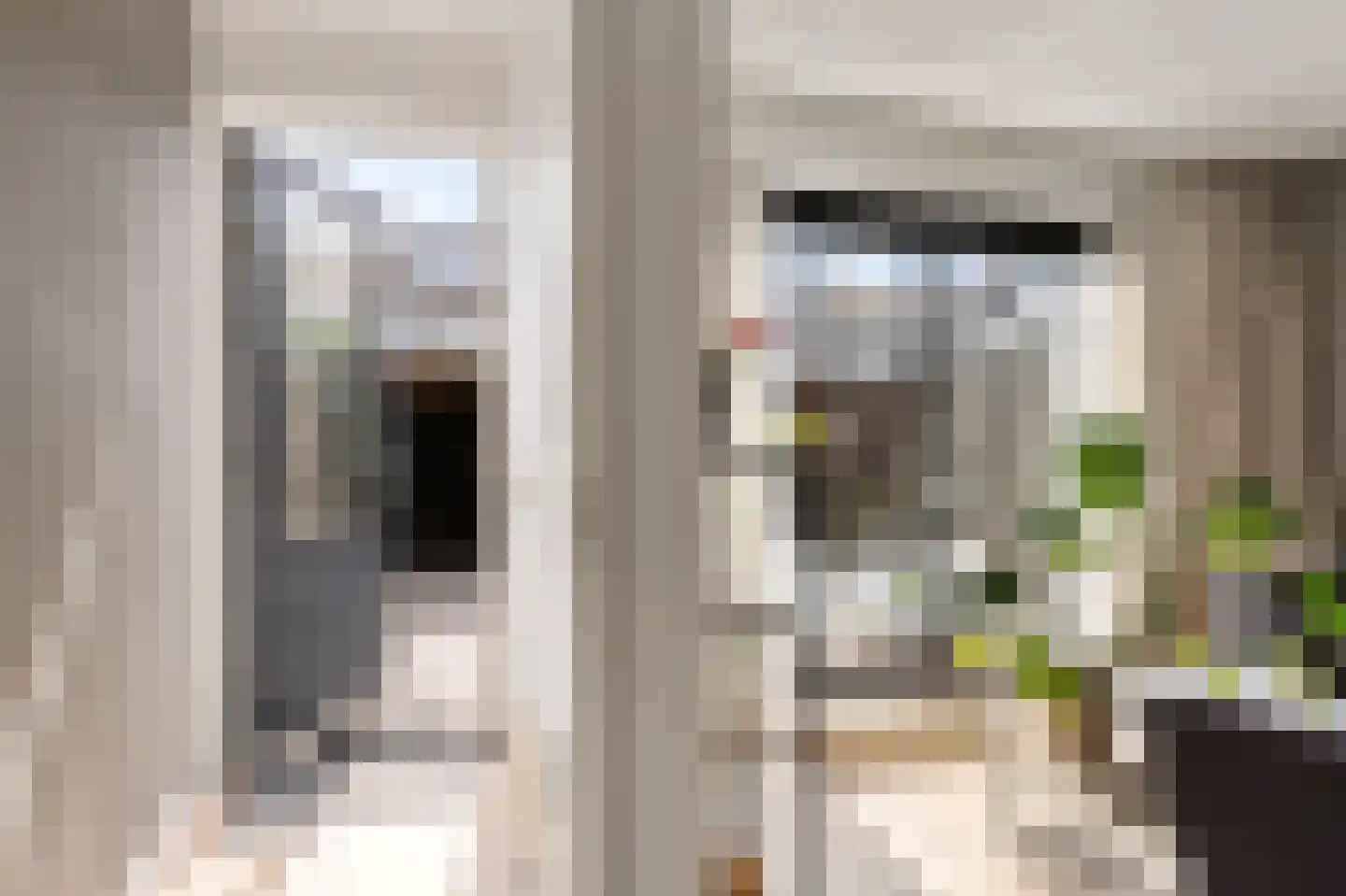 Capellestraat 138 Steenwijk thumbnail 21