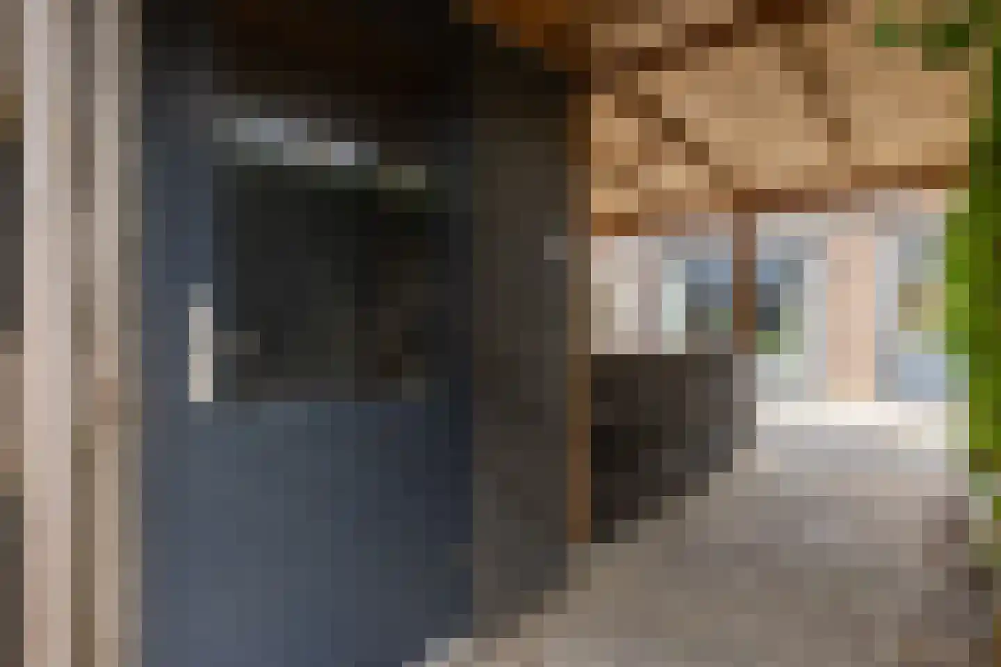 Capellestraat 138 Steenwijk thumbnail 42