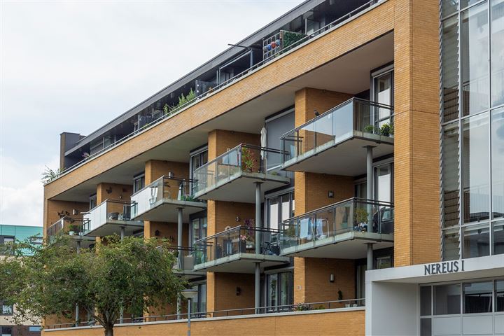 Capellestraat 90 in Steenwijk photo