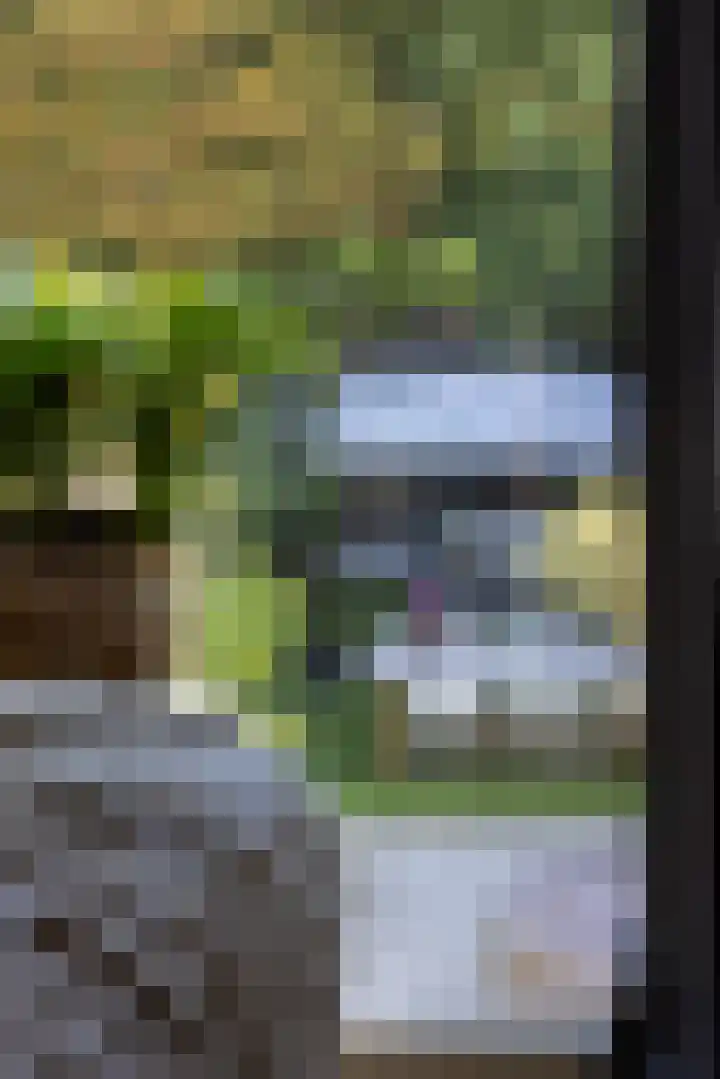 Capelseweg 196 Capelle aan den IJssel thumbnail 21