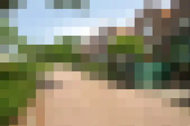 Capelseweg 212 Capelle aan den IJssel thumbnail 6