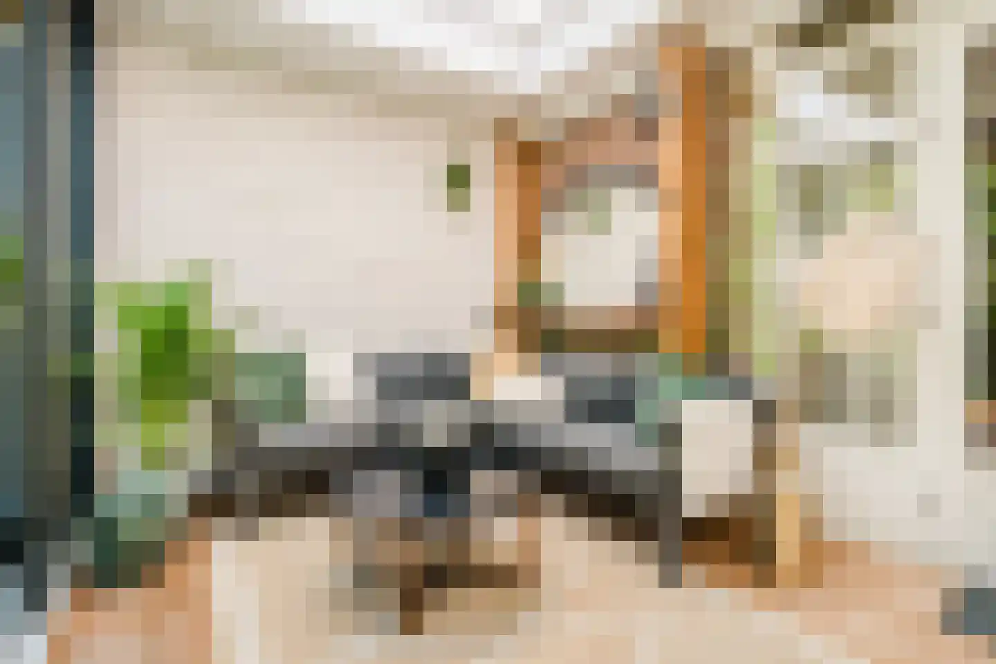 Capelseweg 222 Capelle aan den IJssel thumbnail 18