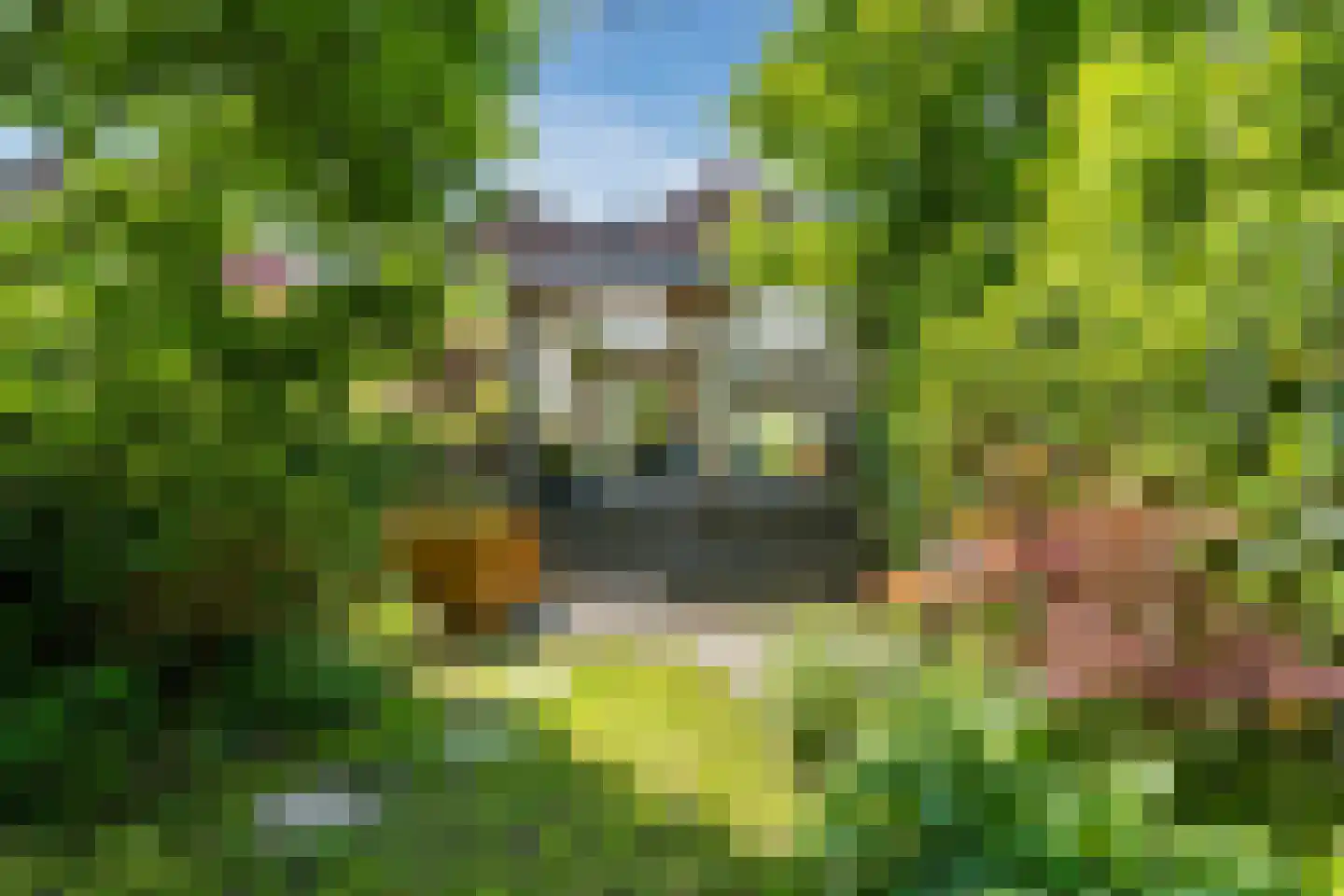 Capelseweg 222 Capelle aan den IJssel thumbnail 22