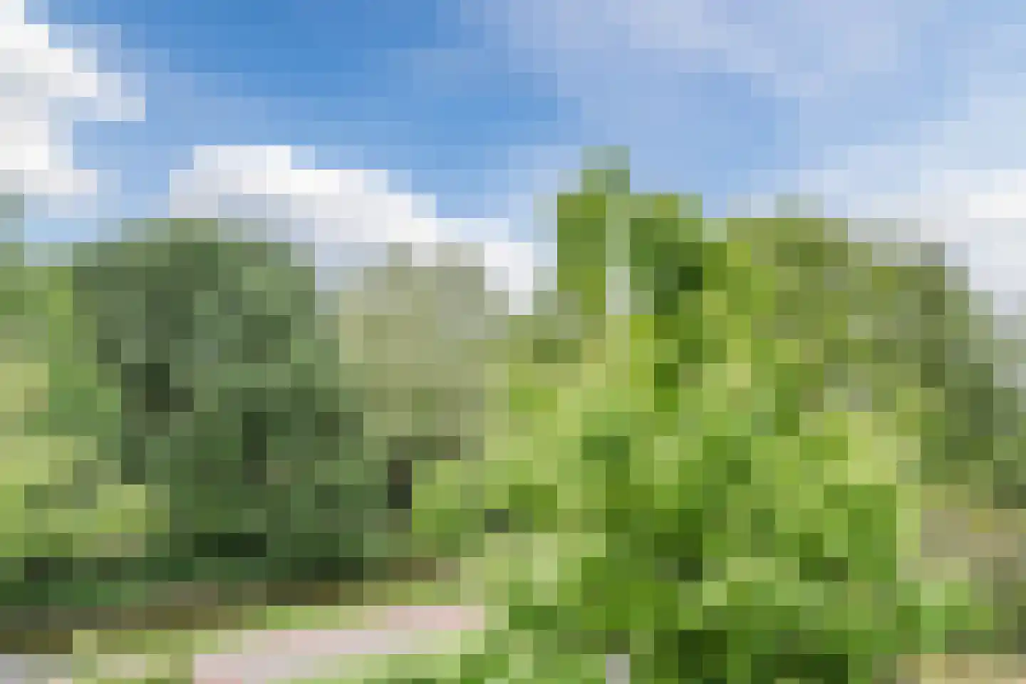 Capelseweg 222 Capelle aan den IJssel thumbnail 32