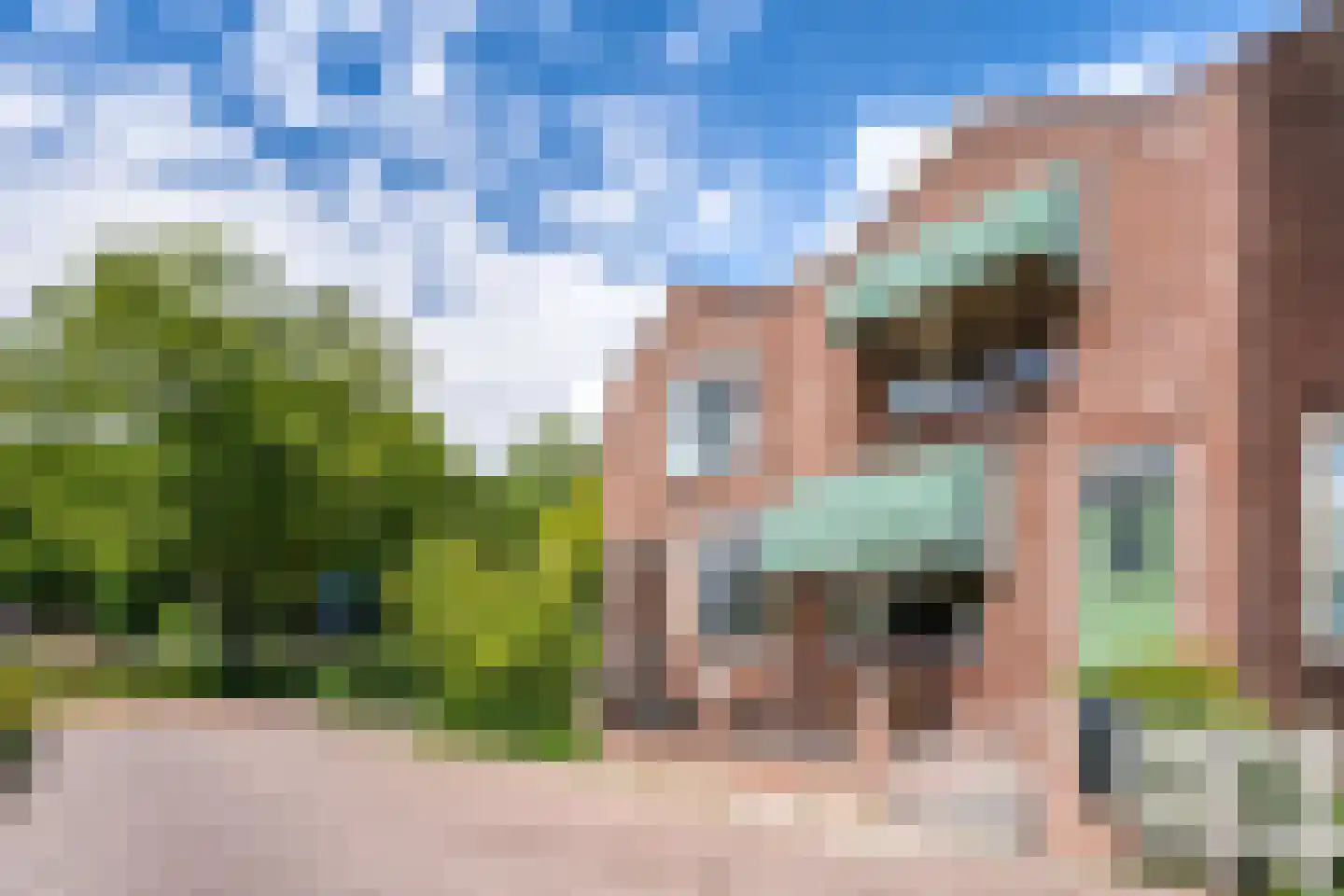 Capelseweg 222 Capelle aan den IJssel thumbnail 4