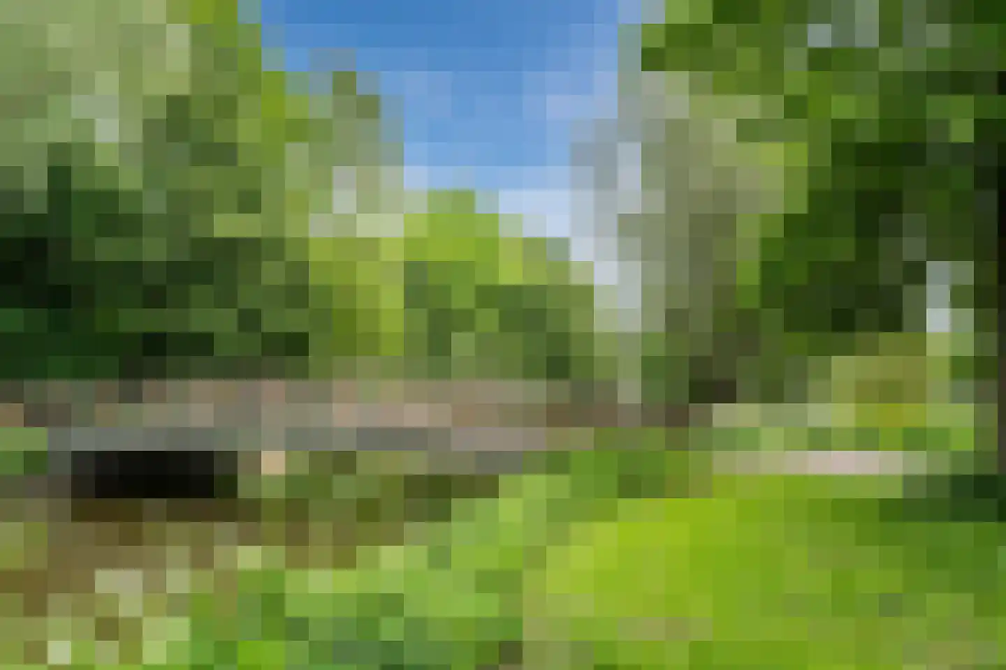 Capelseweg 222 Capelle aan den IJssel thumbnail 43