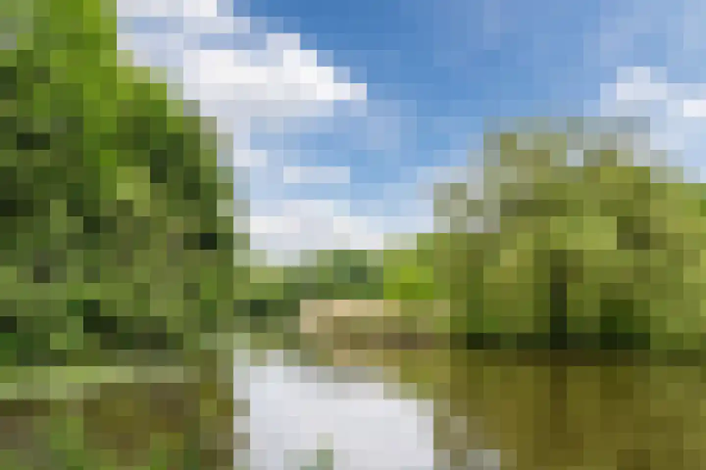 Capelseweg 222 Capelle aan den IJssel thumbnail 44